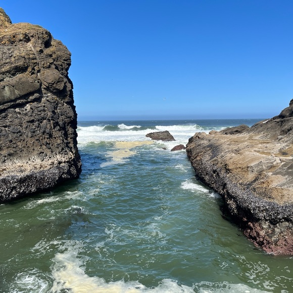 Meet your Posher, Sallie - Picture 1 of 2